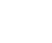 Evolution games at Mega Wins Pace Casino